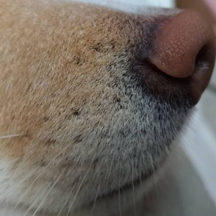 3e5c52d8 a7c0 49cc a281 43f0e42d8141 1611378433315