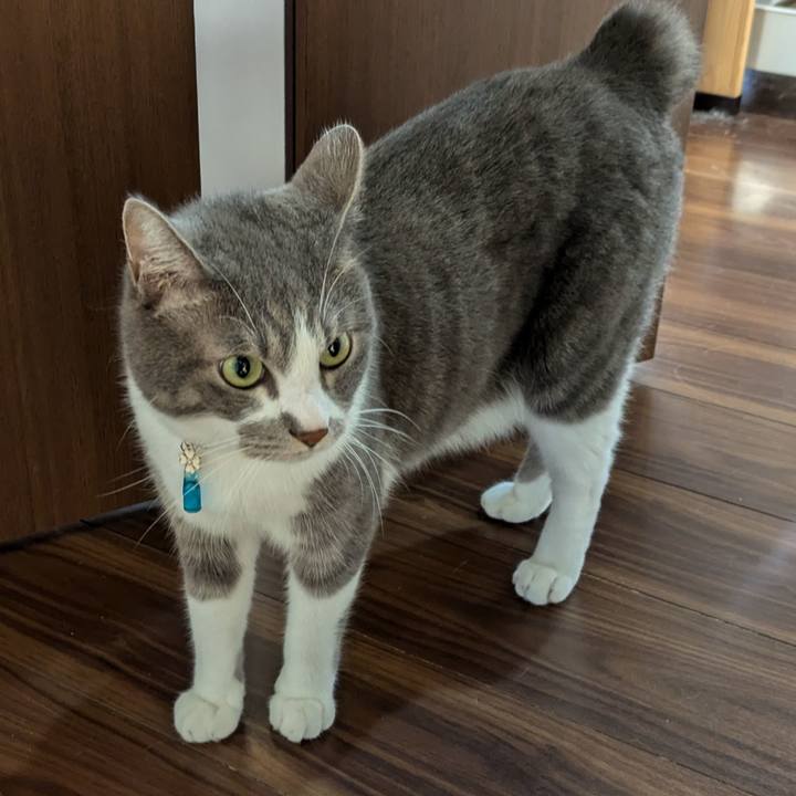 3e5ca857 8abd 4062 b1f3 29bc03d73941 1725603056980