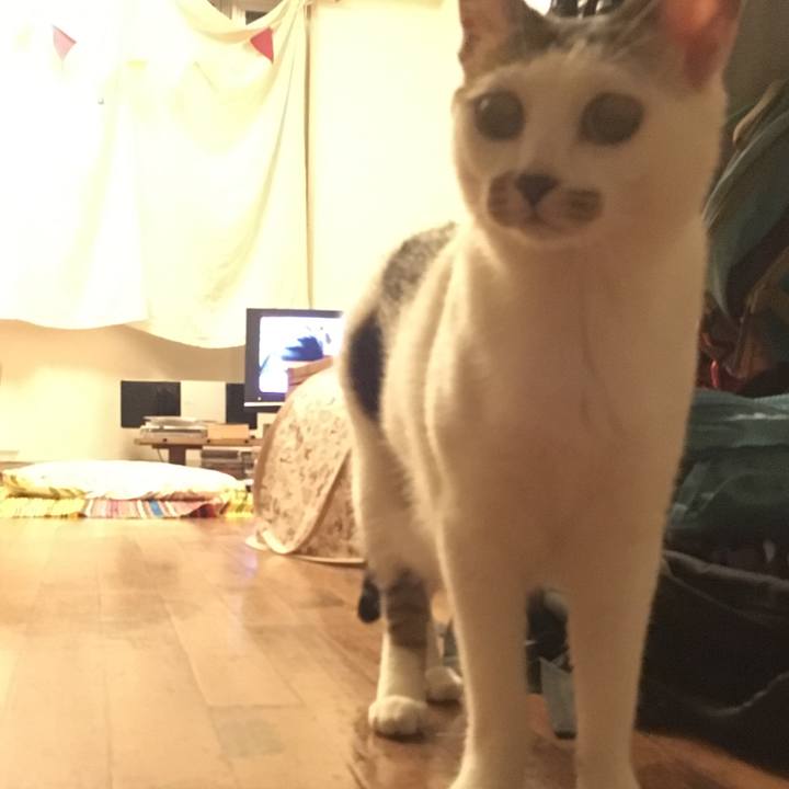 3e5cc2b8 720d 4148 89ef ba520c70144f 1534324076350