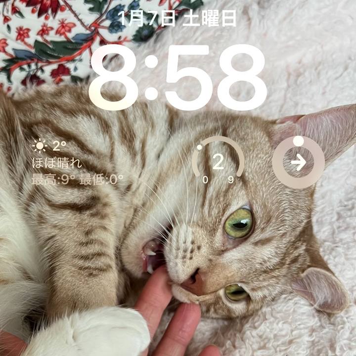 3e5cda91 5222 4221 b6f1 69094cb4e822 1673049958075