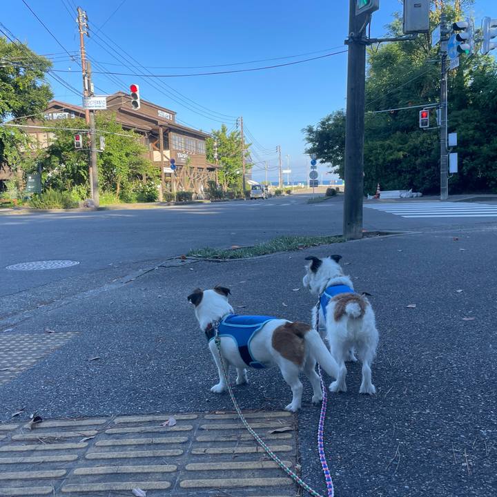 3e5d00ad d509 40d3 9af4 cff6c5c2f4b9 1754006741531