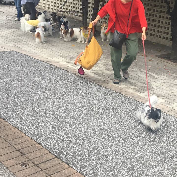 3e5d1e73 e404 45e3 9798 fe3a32728965 1559986139608