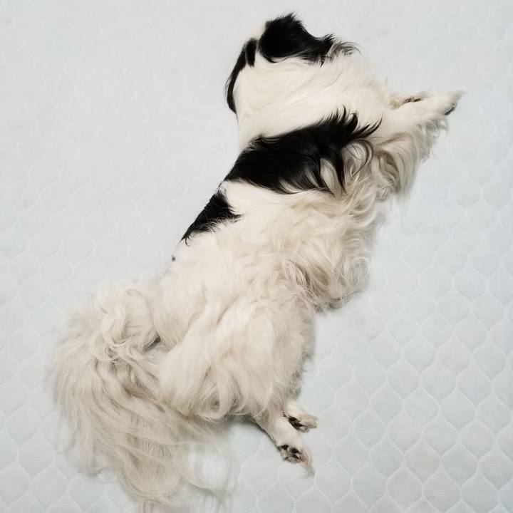 3e5d2ab5 42fa 45e9 805e 6dc0b2da5a33 1529751486896