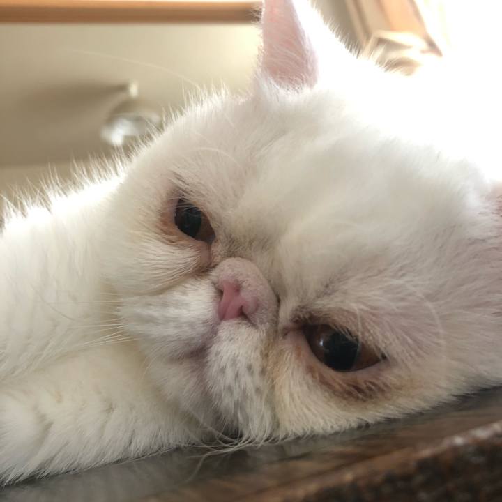 3e5d58bb 509f 4394 a757 8113fa150592 1599312065806