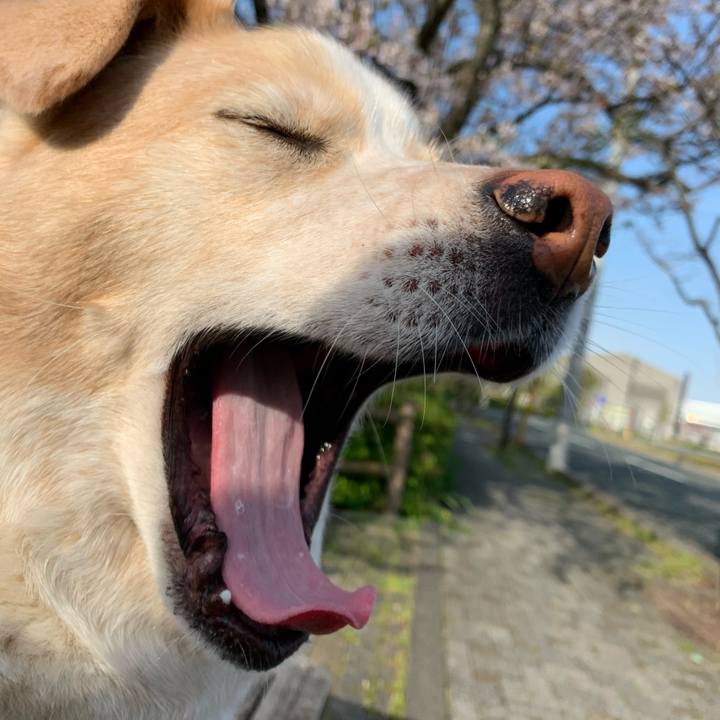 3e5d5c50 e959 4187 9b7e d8ff34b85145 1586964012919