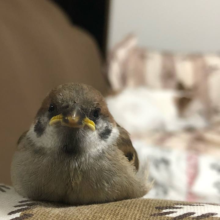 3e5d7521 df04 4999 be1b 8ab4c0295019 1592828675340