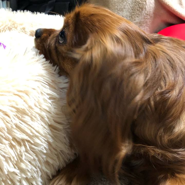 3e5dd61f 7be6 41f5 84a8 52281518842c 1615384041426