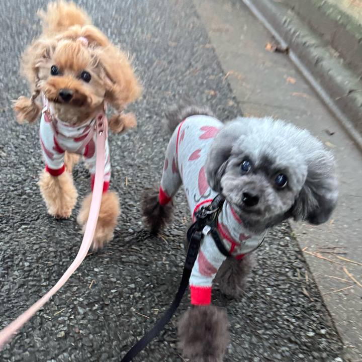 3e5dd9f1 3cb3 458c ae4d 150a1c217db7 1762471685629