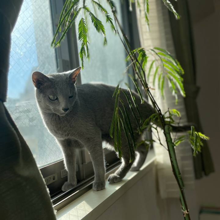 3e5de5b3 e49b 49d9 8abf 3bf58c4c3b33 1738455185014