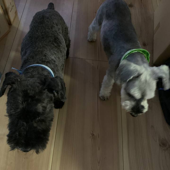 3e5e1595 6230 4044 b5d4 a2ab29c7f35c 1687681382019