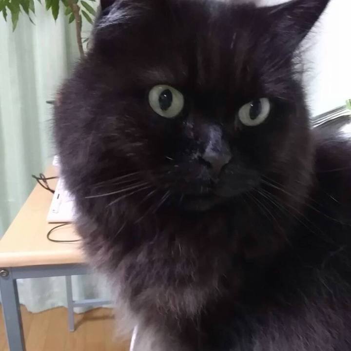 3e5e379a 9d25 42d9 8a45 043f2ca171ad 1542624445049