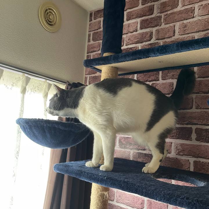 3e5e4efa 8d3a 42d9 ad51 0bafecb603da 1710801828757