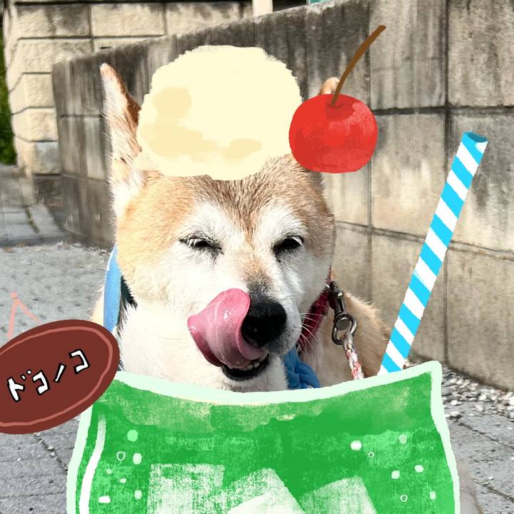 3e5e6b04 edc9 44a4 9f8b 6b9279601619 1755055939623