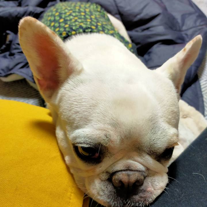 3e5e7adc 3ef2 4a64 b8de 7e5e0f4182a4 1667602333164