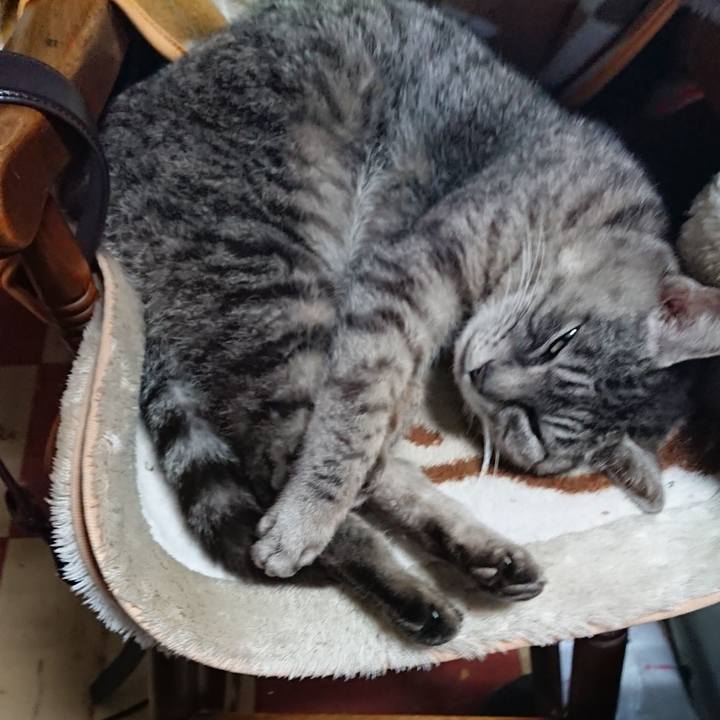 3e5e9976 75e6 4de6 95e1 d384882ad315 1552122286968