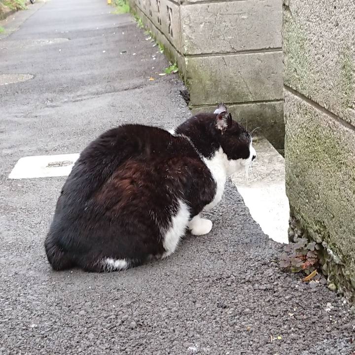 3e5e9f63 cb63 41b8 8503 52bc8b8f5cc3 1681260390395