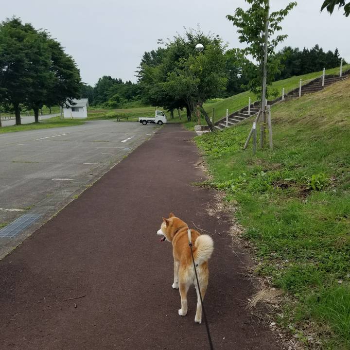 3e5eaf77 b2ce 4d27 9af4 5ed83e010fb5 1719897789885