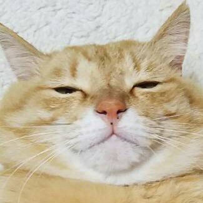 3e5eca22 8fab 424f b8af 082d3da9554f 1558149853116