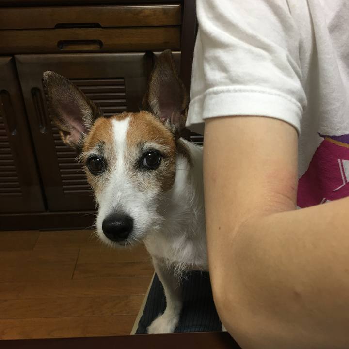 3e5eca24 a968 4cbf be26 461ec9d6e8ae 1598571214069