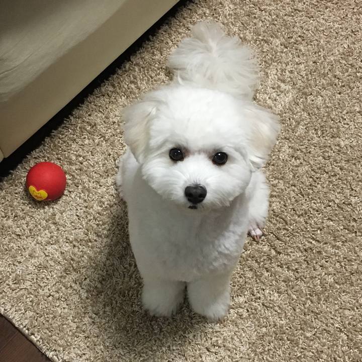 3e5ecdfd dd85 4d48 85e0 528807b5df10 1543935455973