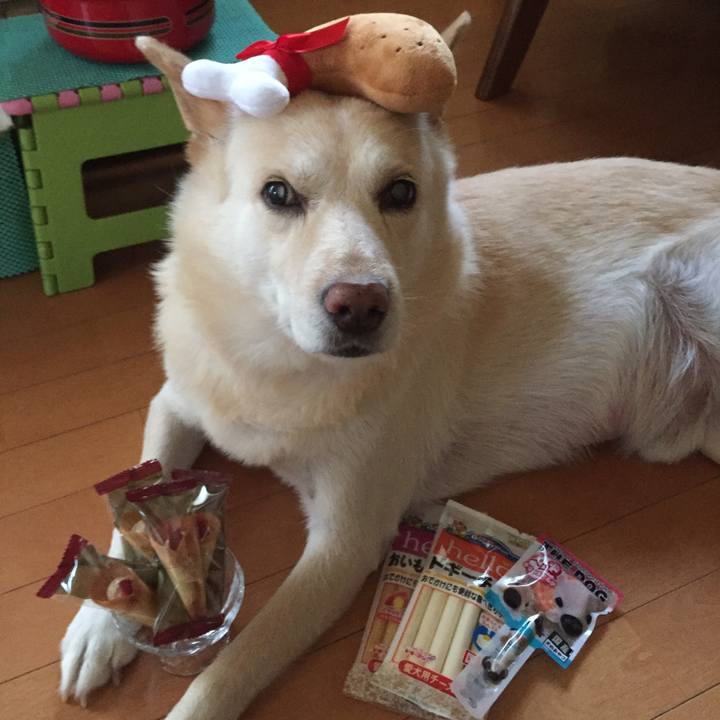 3e5ed0d5 0bb0 4234 8d59 6379fb35f287 1529574815558