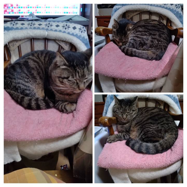 3e5ee8c3 3811 4a85 9147 00259af0f212 1675159477012