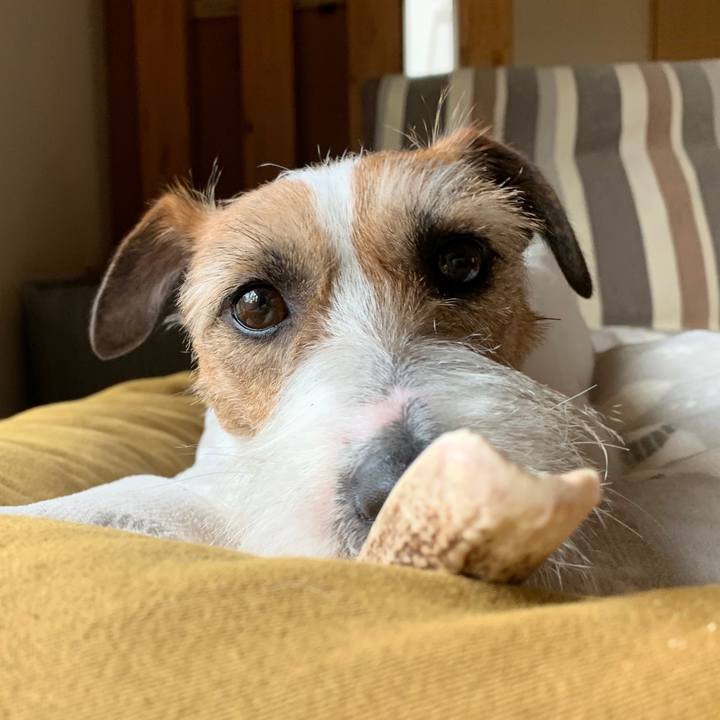 3e5f19c2 165f 4518 9c60 d2bc79e2e51a 1586218431262