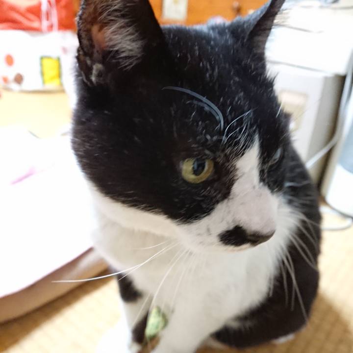 3e5f1d6a 05f2 492c 8284 fe4d187dad4b 1641632110996