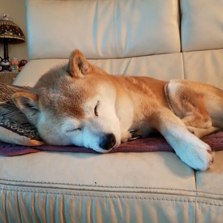 3e5f4657 c4da 4f78 8acf 28d529c7dd9c 1712617547875