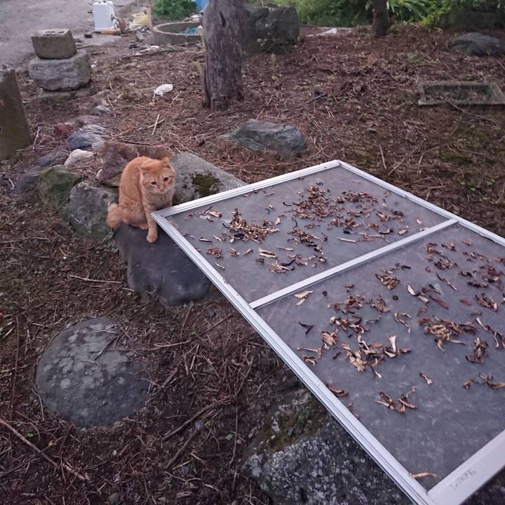 3e5fc355 b77f 4423 a057 c55b9b30b9e3 1663103563063