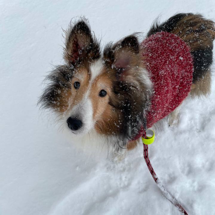 3e5fcf74 25df 461d 9539 5fd92e67a829 1615015861834