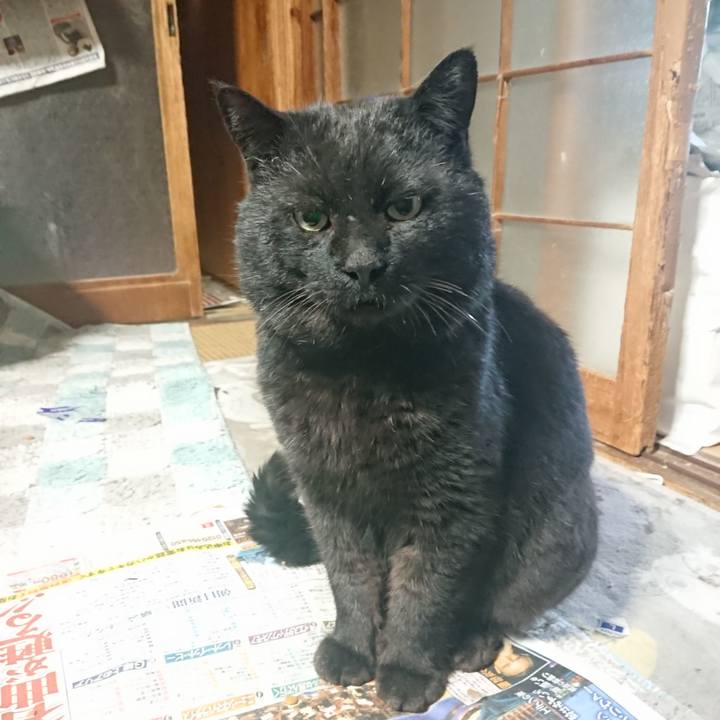 3e5ff142 223f 44ab 8596 967fbbf04211 1649886602153