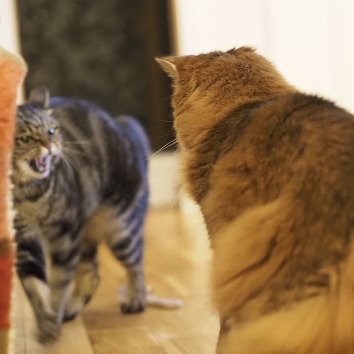 3e5ffecf c290 4390 b538 24ed9d45a8c8 1689307103592