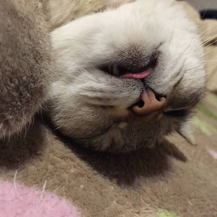 3e600d03 5174 47d7 9d47 09ed77dd03fd 1516273653256