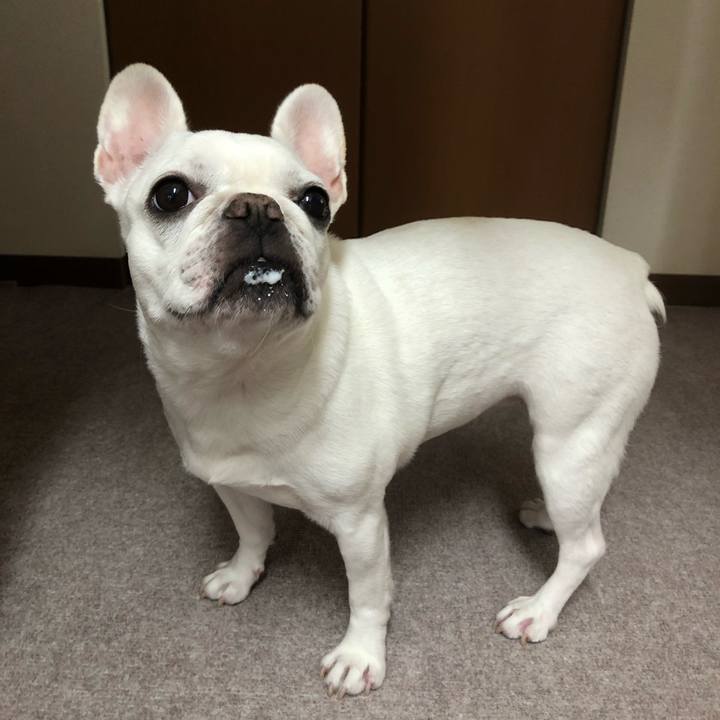 3e604eb7 0899 4bbe 9d18 d1c9fdde7ba5 1665720571219