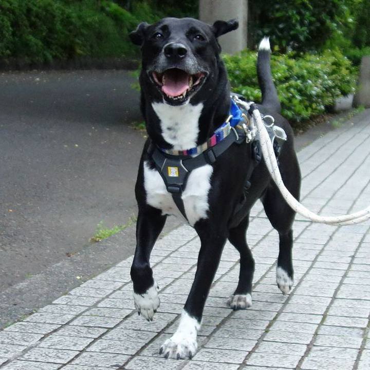 3e60baa5 1eb7 47ce 9933 08161279bd11 1651971500319