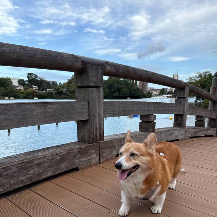 3e60c52b 1dc9 457d a51a 890154016a72 1760776171242