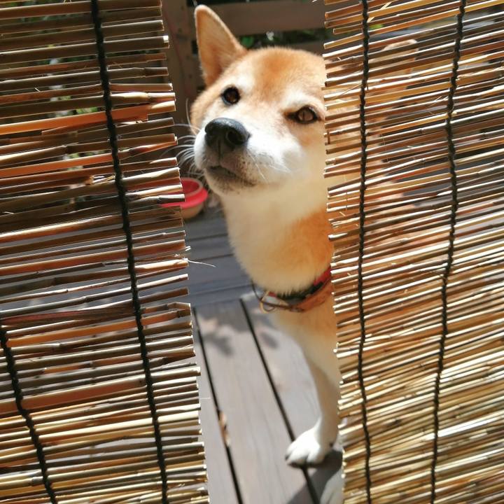 3e60ed29 18d7 4fcd 8628 880f878e4919 1692070528992