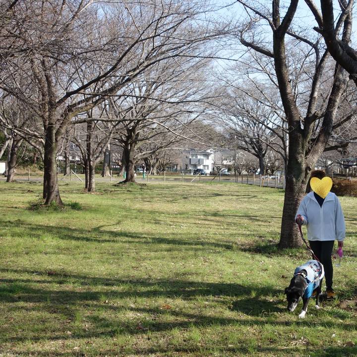 3e611059 8a94 4b02 b9a3 1fca7d95ddd9 1742605224229