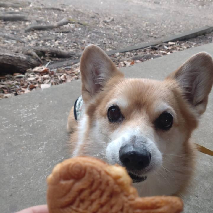 3e61401e 0ac9 4d82 b54f 1fac55b2713b 1736084851159