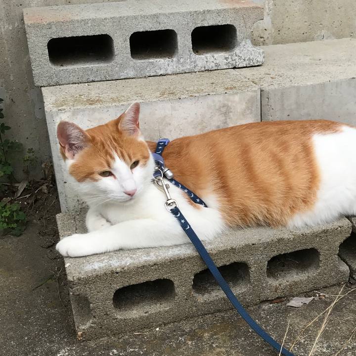 3e6146df ad8e 4786 8f68 ca7a1a70c83c 1531638187444