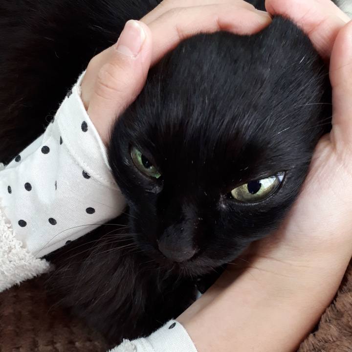 3e615470 d55f 4379 9d57 8698639e3721 1519432486056