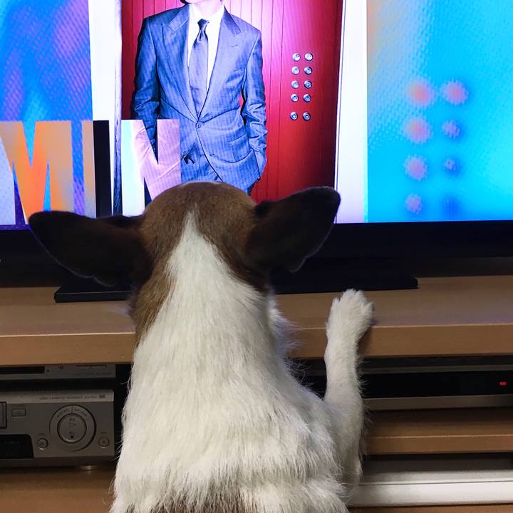 3e618906 5f28 4281 966f 741773fc2cdf 1623712981358