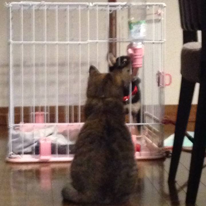 3e6189b7 b0e6 4a01 bc4c fb3243cde77e 1555413245914