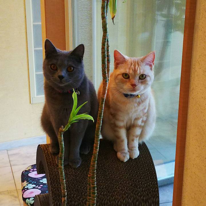 3e619bc4 4149 4b2f 8ae2 f1018417e521 1508999890802