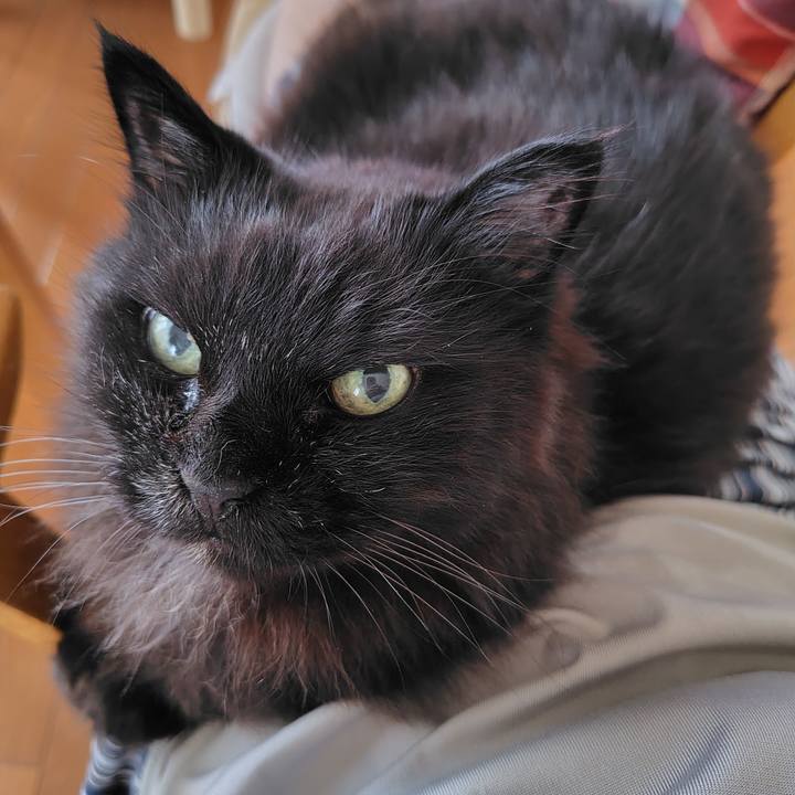 3e619ee8 b309 4bd4 9432 4c4bce63b76a 1719816280170