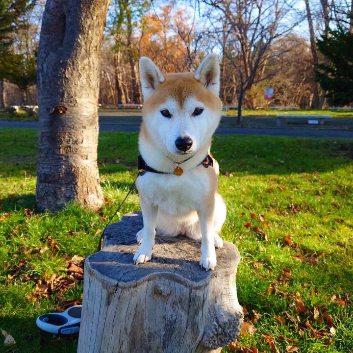 3e61c215 f46e 4721 a652 9931ff7ec5ab 1637198388640