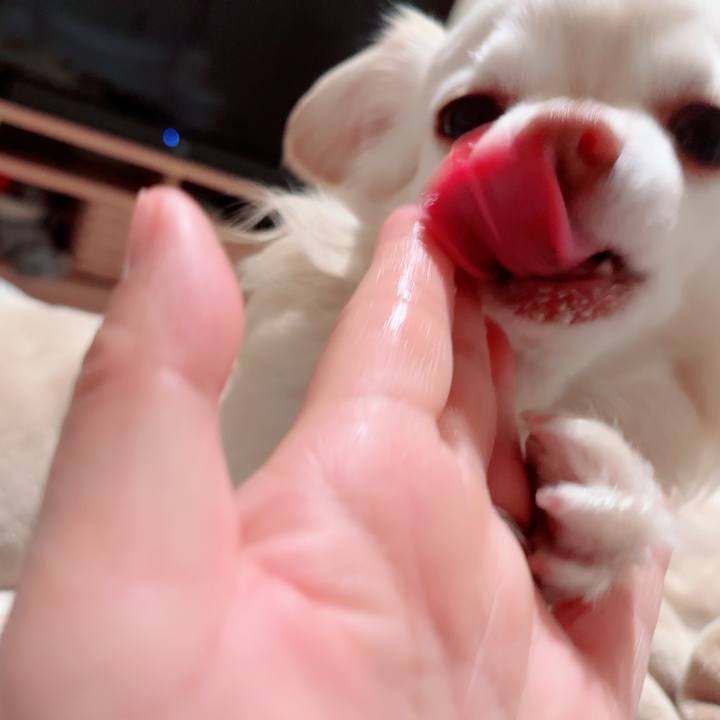 3e61e833 ee18 4bb9 8650 e9733df1c95f 1709568222618