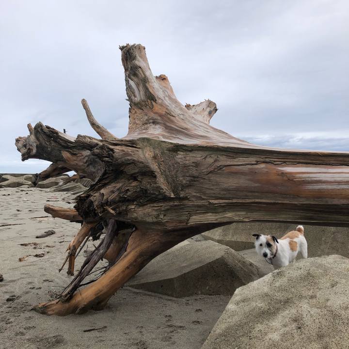 3e61f52f 221c 47e2 bcec 0a5634668515 1593819081421