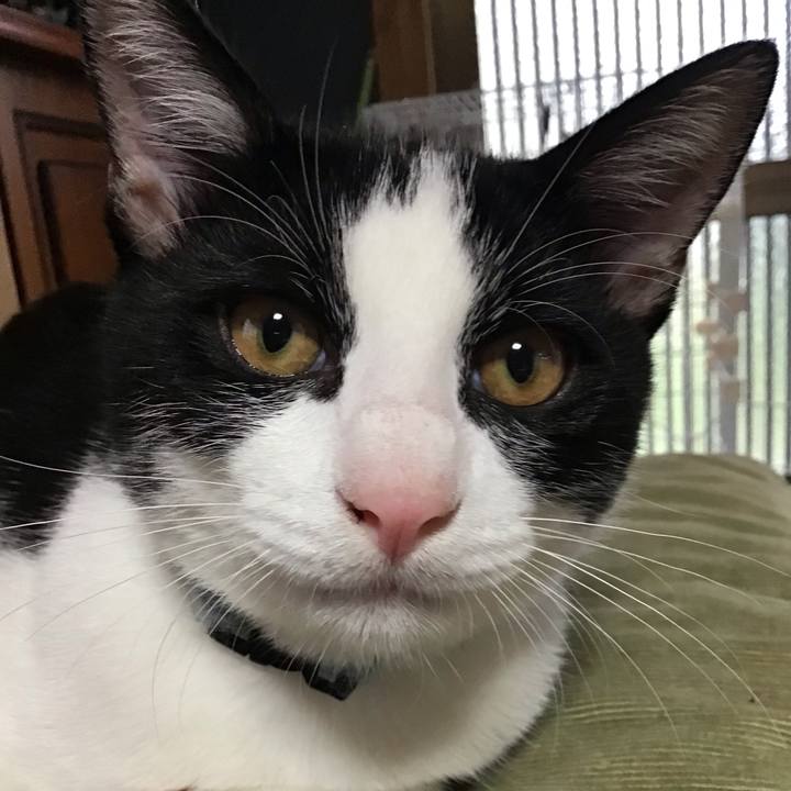 3e621803 c11d 465e a677 23fa66a37d1d 1631426399822